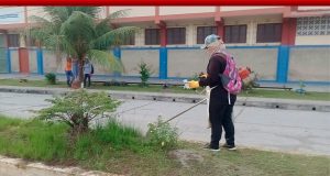 EMBELLECIMIENTO DEL DISTRITO PUNCHANINO