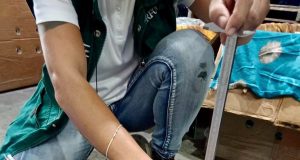 PERSONAL DE GERFOR Y SERFOR REALIZA INSPECCIÓN OCULAR DE QUELONIOS PARA SU EXPORTACIÓN A INDONESIA