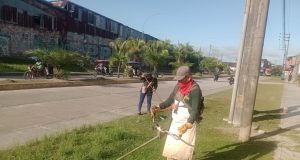 MANTENIMIENTO Y DESBROCE EN AV. 28 DE JULIO