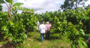 SEGÚN PRONUNCIAMIENTO DE INSTITUCIONES: USO DE FERTILIZANTES DESCALIFICA INICIATIVA AMIGABLE DE TAMSHI