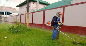 PUNCHANA LIDERA LIMPIEZA DE ÁREAS VERDES