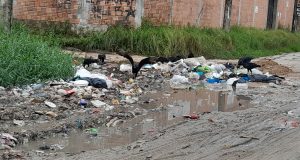 VECINOS DE SAN JUAN DENUNCIAN FALTA DE RECOJO DE BASURA