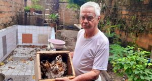 FALTA PROMOVER LA APICULTURA EN LORETO