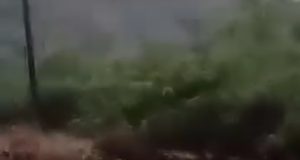 YURIMAGUAS: 37 FAMILIAS DAMNIFICADAS POR DESBORDE DE QUEBRADA ATUN