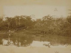 Amazonia, inerme territorio