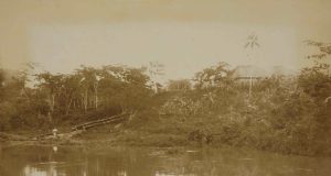 Amazonia, inerme territorio