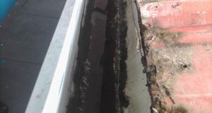 Con la finalidad de prevenir el contagio del Dengue en los colegios, el Gobierno Regional de Loreto, a través de la Geresa Loreto, en coordinación con la IPRESS I-4 Bellavista Nanay, se realizó una inspección de salud en la I.E. «Juan José Bardales Chuquipiondo», para identificar y eliminar los criaderos positivos y potenciales del vector Aedes Aegypti.