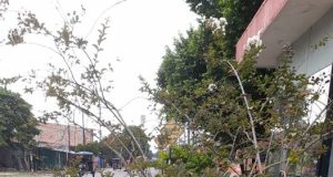 TRANSFORMACIÓN URBANA: PINTADO DE LLANTAS EN LA CALLE TRUJILLO CON AMAZONAS