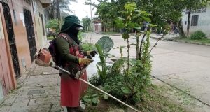 MANTENIMIENTO INTEGRAL DE ÁREAS VERDES EN LA CALLE MISTI