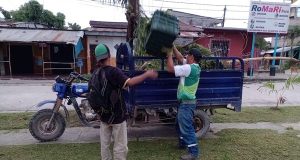 MANTENIMIENTO Y LIMPIEZA REVITALIZAN LAS ÁREAS VERDES DE CALLE INDEPENDENCIA Y AMAZONAS