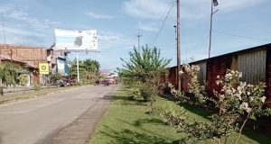 MUNICIPALIDAD DISTRITAL DE PUNCHANA ASUME EL COMPROMISO DE MANTENIMIENTO Y LIMPIEZA DE ÁREAS VERDES EN AVENIDAS PRINCIPALES