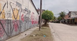 EQUIPO DE ÁREAS VERDES DE LA M.D.P. EMBELLECE CALLE ABANCAY CON CALLE PERIODISTA MEDIANTE LABORES DE MANTENIMIENTO Y LIMPIEZA