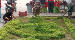 LLAMADO A LA COMUNIDAD PUNCHANINA: PROTEJAMOS NUESTROS ESPACIOS VERDES