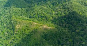 CREAN RESERVA INDÍGENA SIERRA DEL DIVISOR OCCIDENTAL
