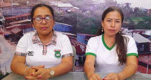 DENUNCIAN A EXPRESIDENTE DE APAFA POR ACOSO