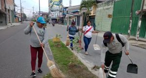 CONTINÚAN LABORES DE MANTENIMIENTO DE ÁREAS VERDES EN LA AVENIDA FREYRE
