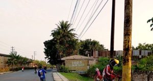 M.D.P. REALIZA MANTENIMIENTO Y EMBELLECIMIENTO DE ÁREAS VERDES EN LA AV. LA MARINA