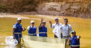 300 MIL ALEVINOS PARA LORETO