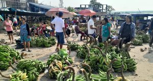 PRECIOS ATRACTIVOS EN PUERTO MASUSA