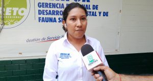 BRIGADAS CONTRA INCENDIOS FORESTALES