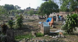 CEMENTERIO LA INMACULADA EN MANTENIMIENTO