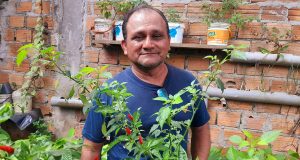 BIOHUERTO DEL CONOCIMIENTO