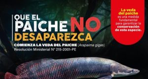 IMPLEMENTACIÓN DE LA VEDA DEL PAICHE: UN COMPROMISO DEL GOREL CON LA SOSTENIBILIDAD EN LORETO