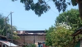 La Municipalidad Distrital de Punchana, a través de la Unidad de Gestión Ambiental y el personal de vivero, vienen realizando la limpieza de áreas verdes con la poda de árboles en la calle Huáscar con Abancay.