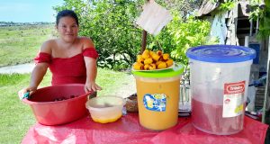 LA CURVA DE LAS FRUTAS FRESCAS: MORONACOCHA