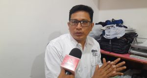 INSECTOS NO TIENEN QUE ALARMAR