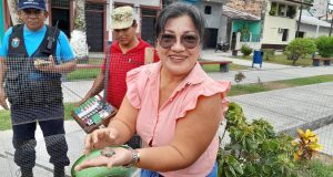 NACEN MÁS TARICAYAS EN PLAZA RAMÓN CASTILLA