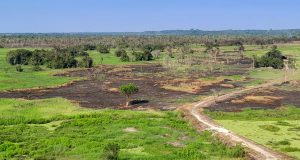 SE QUEMA MALEZA EN EL PUENTE NANAY
