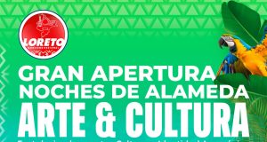 NOCHES DE ARTE Y CULTURA