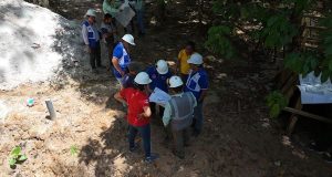 Los trabajos de la modernización del parque turístico y ecológico Quistococha, continúan su avance de acuerdo al expediente técnico respetando la ecología, el medio ambiente y la forma de vida de los animales que están en el lugar.