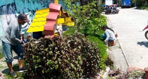 Mantenimiento y embellecimiento de parques y jardines en Punchana