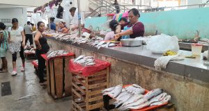 GOTERAS Y DESAGÜES COLAPSADOS EN MERCADO MODELO