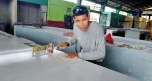 REMODELAN MERCADO CELIA RUIZ DE MICAELA