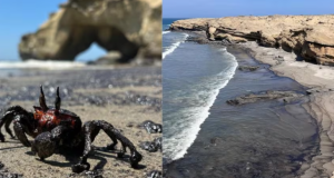 DERRAME DE PETRÓLEO CONTAMINA PLAYAS EN PIURA