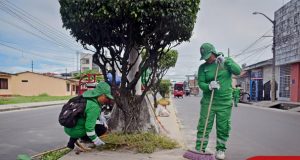 Continúan los trabajos de limpieza y mantenimiento en los principales espacios del distrito de Punchana.