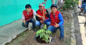 DE TÉCNICO EN COCINAS A SEMBRAR ÁRBOLES EN IQUITOS