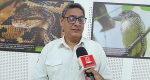 RESERVA ALLPAHUAYO BUSCA VOTOS PARA PREMIO INTERNACIONAL