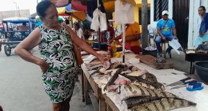 ZARAPATERA Y EXÓTICOS MANJARES AMAZÓNICOS A LA VENTA