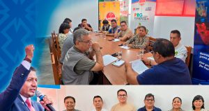 MATRIZ DE ENERGÍA LIMPIA Y RENOVABLE PARA ELECTRIFICACIÓN RURAL EN LORETO