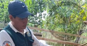 PROYECTO GANADERO SIGUE BENEFICIANDO A NUESTRAS COMUNIDADES