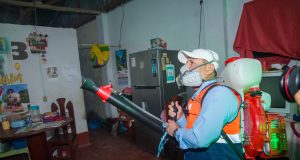 INTENSIFICAN LUCHA CONTRA EL DENGUE