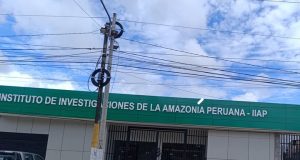 IIAP ESCRIBE MAL “AMAZONÍA” EN FACHADA INSTITUCIONAL