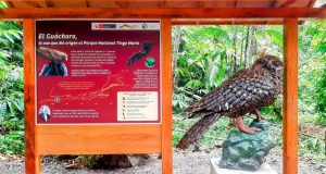 Amazonía: Propuesta de alumbrado público cerca de la Cueva de las Lechuzas genera preocupación