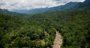 CREARÁN SISTEMAS PARA VIGILAR Y PROTEGER LA AMAZONÍA