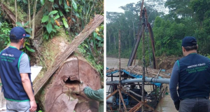 Cajamarca: anuncian la creación de la Fiscalía Especializada del Medio Ambiente «FEMA» en San Ignacio