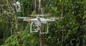 Huánuco: Presentan algoritmos de inteligencia artificial para combatir la tala ilegal